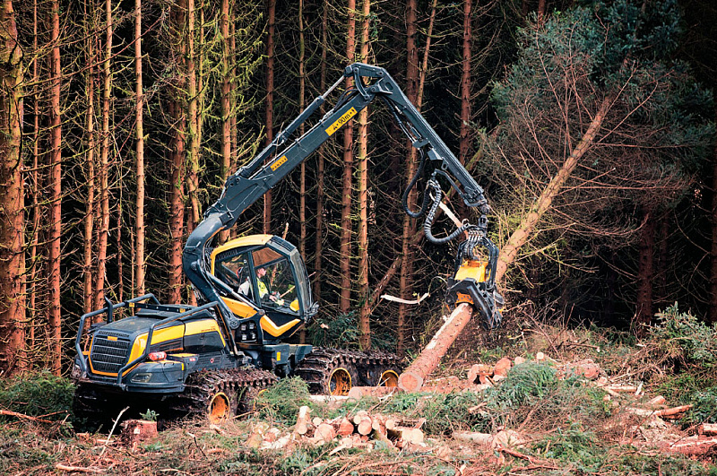 Требования охраны труда в лесозаготовительном, деревообрабатывающем производствах и при выполнении лесохозяйственных работ